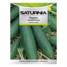 Semillas Pepino Marketmore (5 Gramos)