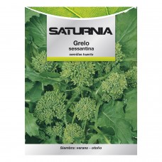Semillas Grelo Brocoli (10 gramos)
