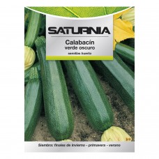 Semillas Calabacin Verde Oscuro (5 gramos)