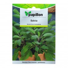 Sementes Aromáticas Sálvia (1 grama)